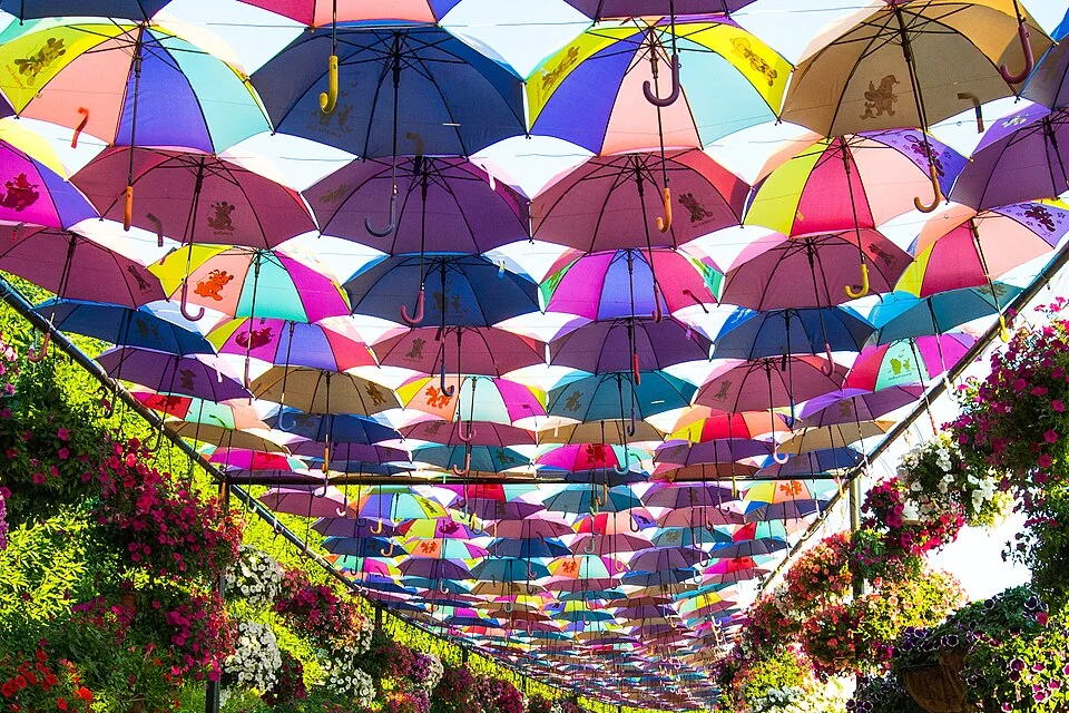 Алея парасольок у Dubai Miracle Garden, 2015 рік
