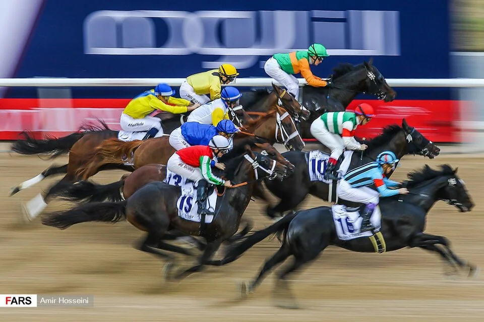 Chevaux et jockeys à la Dubai World Cup 2017.